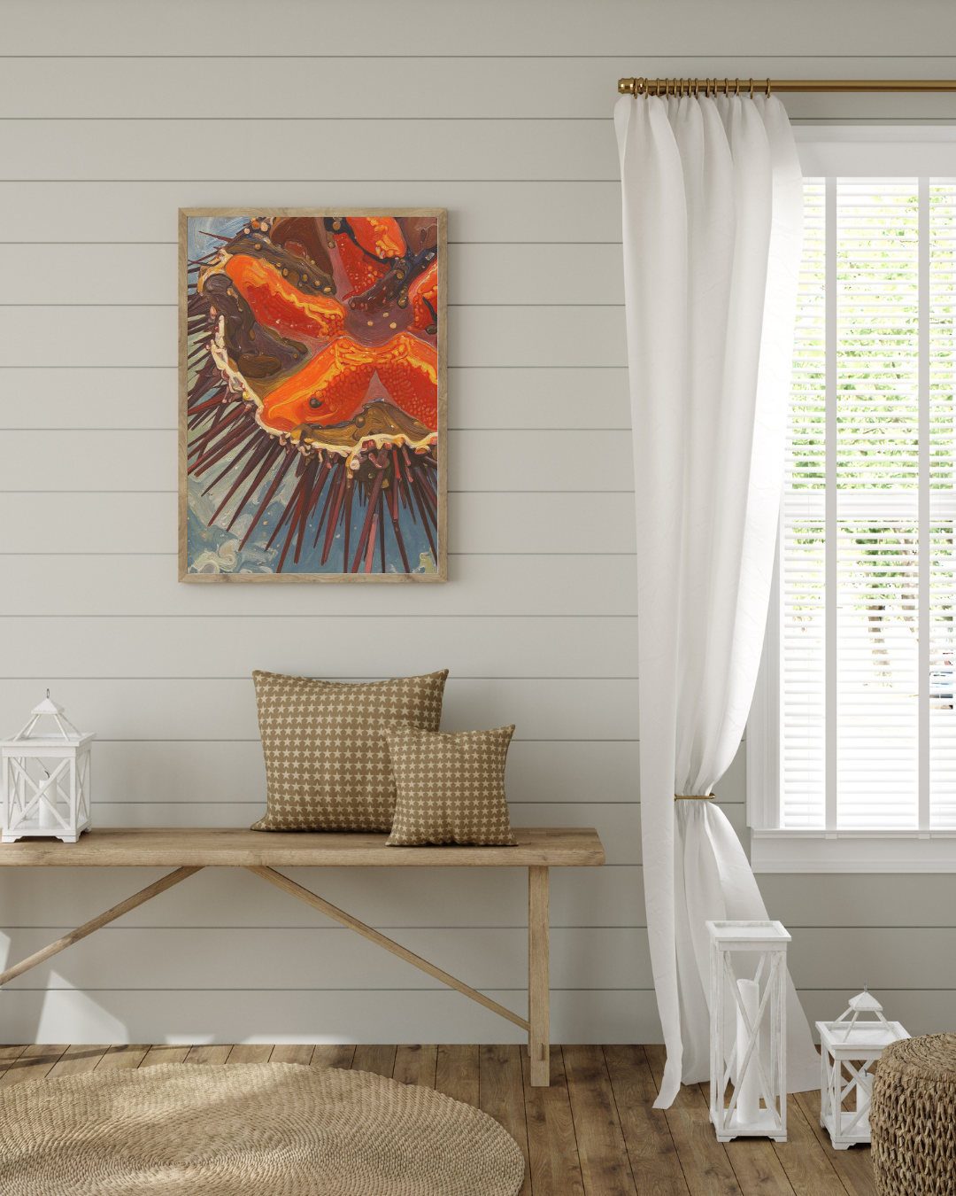 Sea Urchin Print - Mediterranean Nostalgia Collection